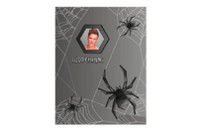 Дневник школьный ZB 13759 Spider 54 л