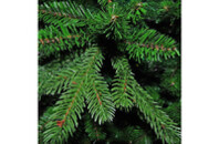 Искусственная елка Triumph Tree Deluxe Sherwood зеленая 3,65 м (8717669150237)