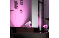 Настольная лампа Philips Hue Iris, Color, BT, DIM, белая (929002376101)