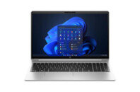 Ноутбук HP ProBook 450 G10 (71H58AV_V4)