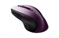 Мышка CANYON CNS-CMSW01P Wireless Purple/Black (CNS-CMSW01P)