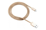 Дата кабель USB 2.0 AM to Lightning 1.0m MFI Golden CANYON (CNS-MFIC3GO)