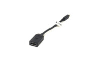 Переходник mini DisplayPort (Thunderbolt) M — DisplayPort F 0.2m PowerPlant (CA910472)