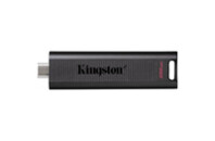 USB флеш накопитель Kingston 256GB DataTraveler Max USB 3.2 Type-C (DTMAX/256GB)
