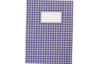 Канцелярская книга Buromax А4, 48 листов, линия (BM.2451)