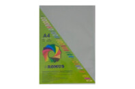 Бумага Romus A4 160 г/м2 100sh Gray (R51123)