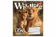 Тетрадь Yes А5 Wild life 60 листов, линия (766083)