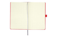 Книга записная Axent Partner Lux Tryzub, 125х195 мм, 96 листов, клетка, красная (8202-06-3-A)