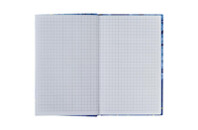 Книга записная Kite Синица, А6, 80 листов, клетка (K22-199-3)