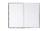 Книга записная Kite BeSound, В6, 80 листов, клетка (K20-260-4)