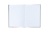 Книга записная Axent Colors А4, 80 листов, ячейка, красная (8421-08-A)