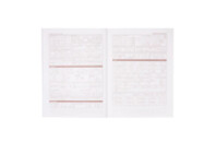 Дневник школьный ZiBi Line PRINCESS А5 мягкая обложка 40 листов (ZB.13124)