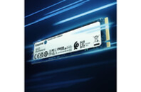 Накопитель SSD M.2 2280 4TB Kingston (SNV2S/4000G)
