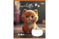 Тетрадь 1 вересня Your little cat 24 листов линия (766653)
