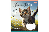 Тетрадь 1 вересня Your little cat 24 листов линия (766653)