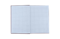 Книга записная Axent Earth colors Graceful А4 96 листов клетка 96 листов (8422-579-A)