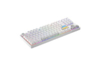 Клавиатура Hator Rockfall 2 Mecha TKL Authentic Edition Aurum Milky Way Silent USB White (HTK-531)