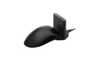 Мышка Zowie EC1-CW Wireless Black (9H.N48BE.A2E)