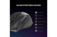 Мышка GamePro GM300B USB Black (GM300B)