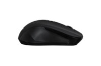 Мышка Acer OMR010 Wireless Black (ZL.MCEEE.028)