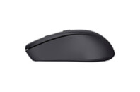 Мышка Trust Mydo Silent Wireless Black (25084)