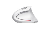 Мышка Trust Verto Ergonomic Wireless White (25132)