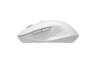 Мышка OfficePro M230W Silent Click Wireless/Bluetooth White (M230W)